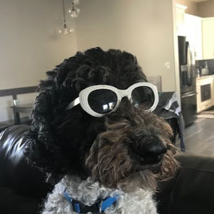 Meet your Posher, Karsten